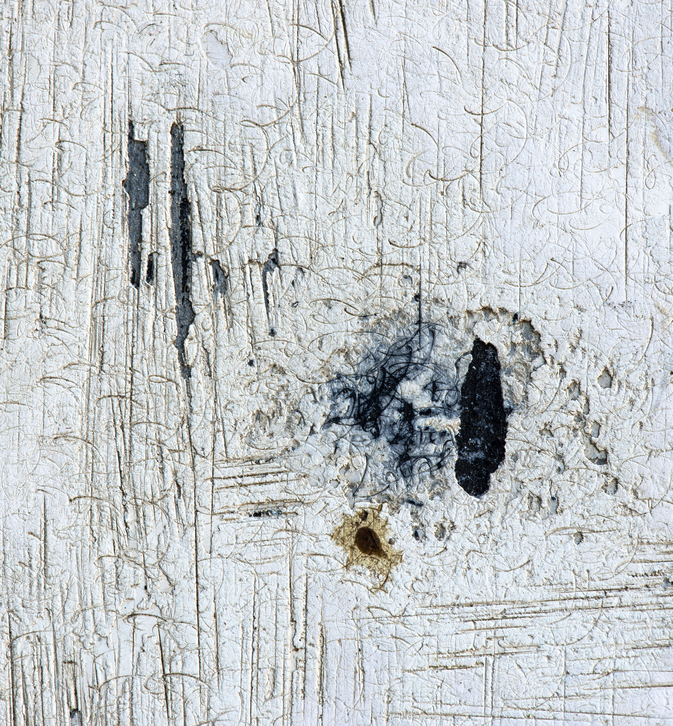 Winter White Macro Photography by Look Studio